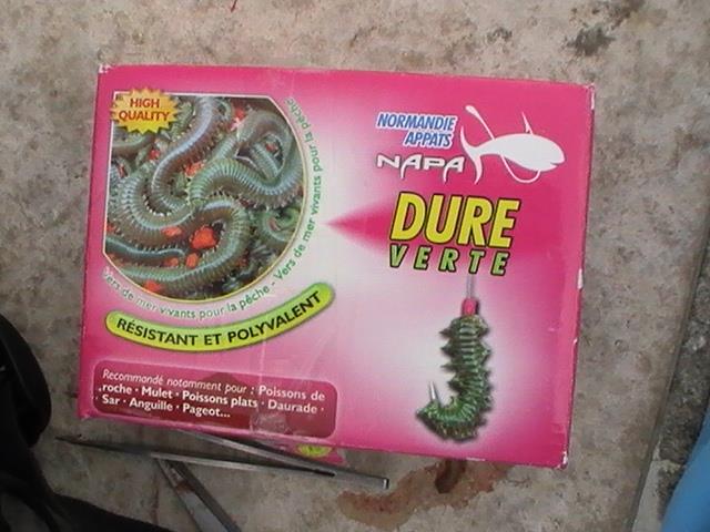 incep sa apara pesti din franta - 2013-08-14-170904-1.jpg